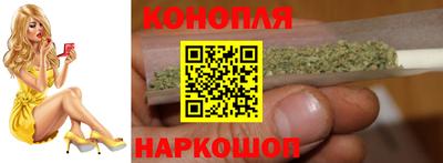гашик Краснознаменск