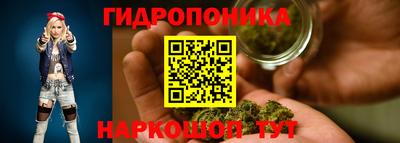 ешки Краснодар