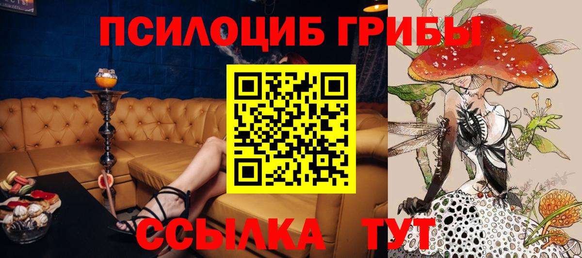 где найти   Вход с VPN  Кизилюрт  Галлюциногенные грибы прущие грибы 